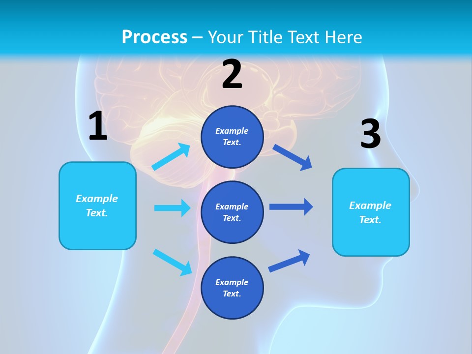 A Human Head With A Brain In The Middle Of It PowerPoint Template
