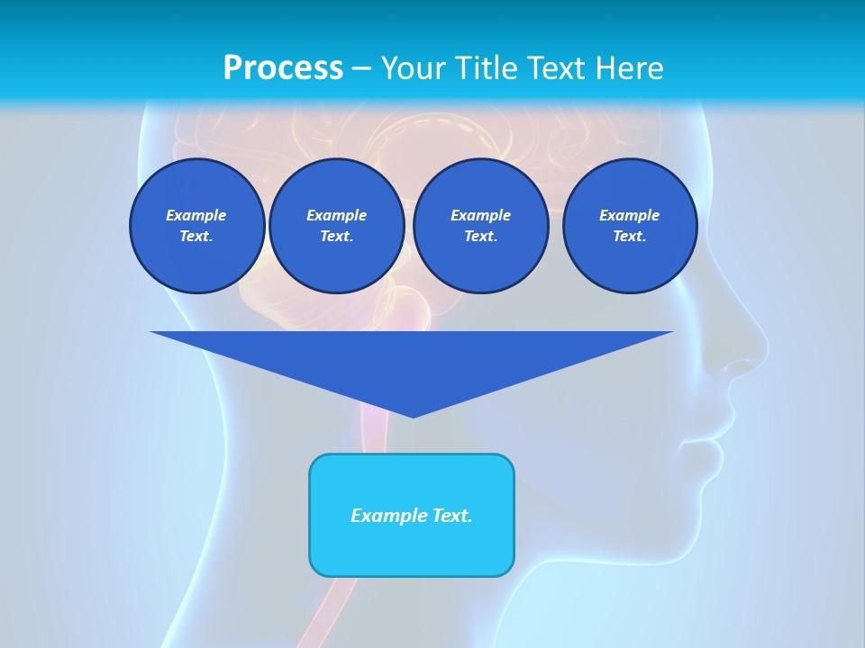 A Human Head With A Brain In The Middle Of It PowerPoint Template