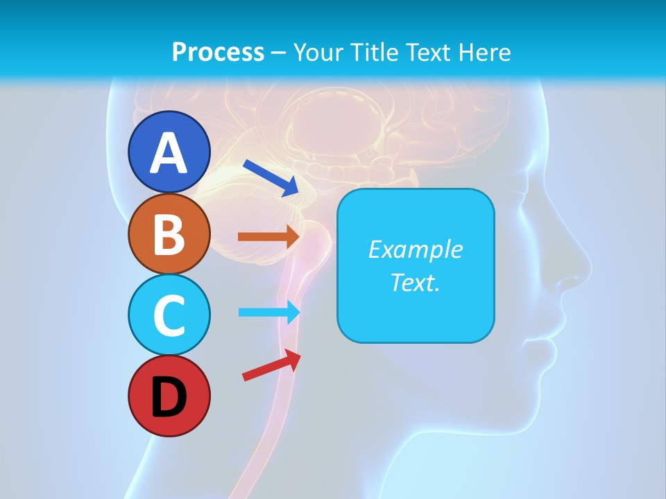A Human Head With A Brain In The Middle Of It PowerPoint Template