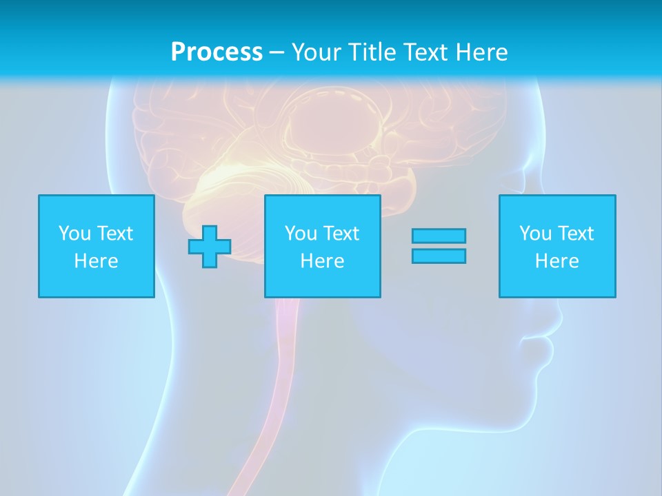 A Human Head With A Brain In The Middle Of It PowerPoint Template