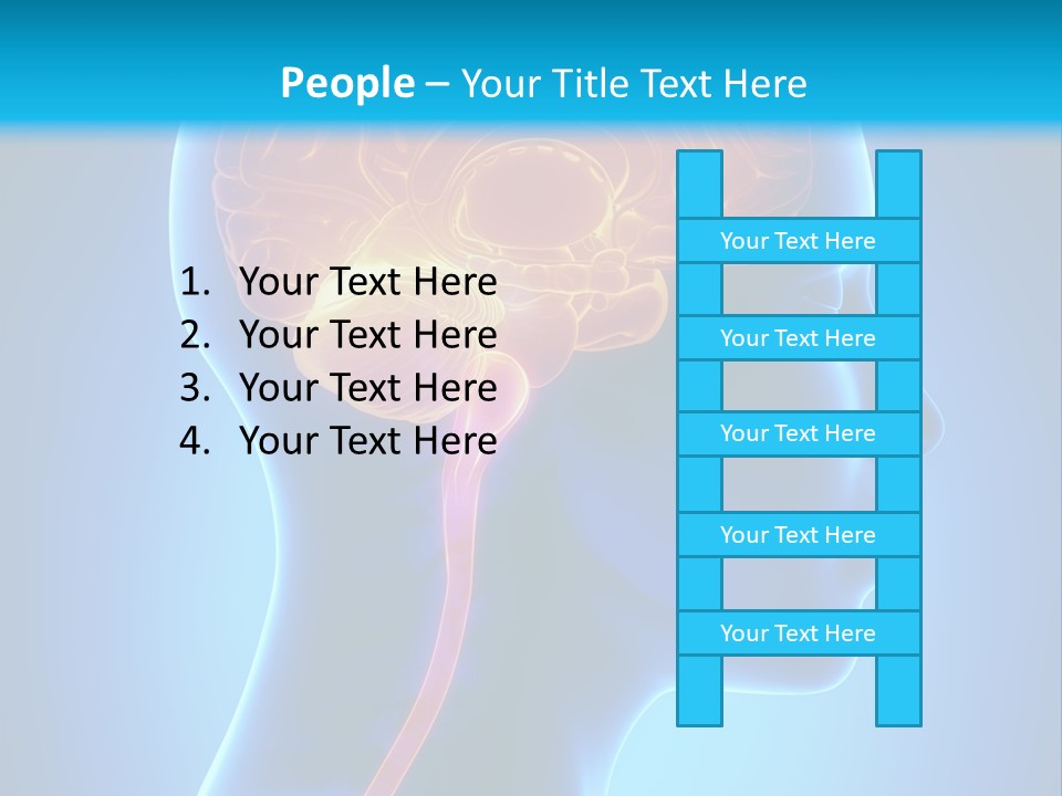 A Human Head With A Brain In The Middle Of It PowerPoint Template