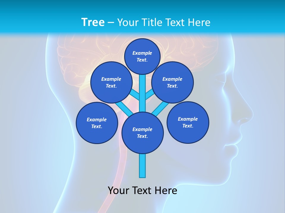 A Human Head With A Brain In The Middle Of It PowerPoint Template