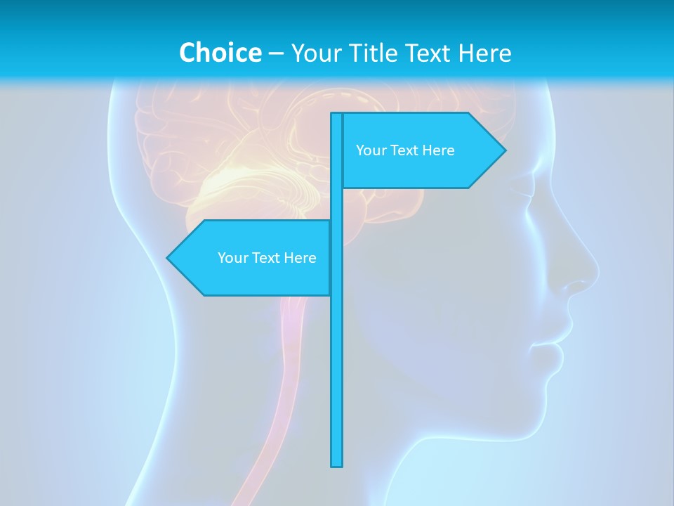 A Human Head With A Brain In The Middle Of It PowerPoint Template