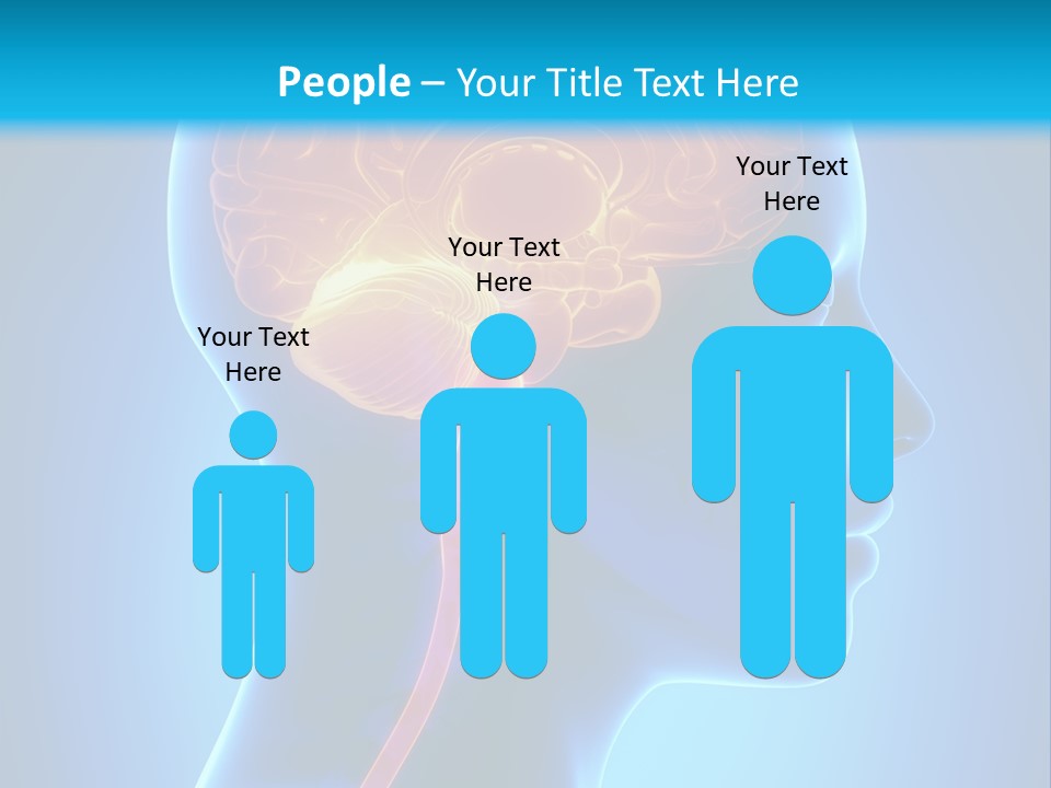 A Human Head With A Brain In The Middle Of It PowerPoint Template