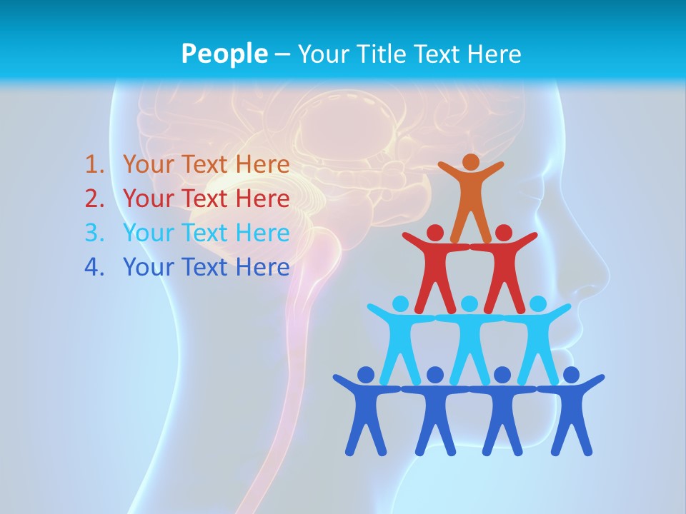 A Human Head With A Brain In The Middle Of It PowerPoint Template