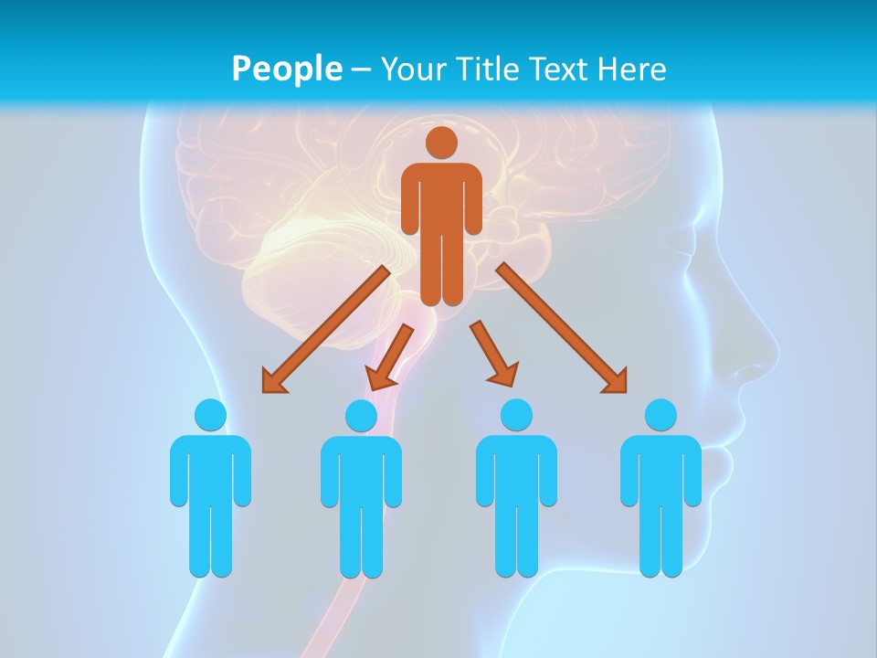 A Human Head With A Brain In The Middle Of It PowerPoint Template