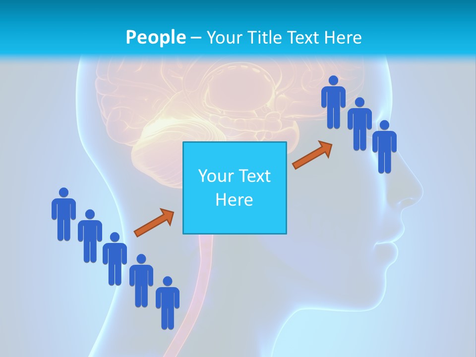 A Human Head With A Brain In The Middle Of It PowerPoint Template