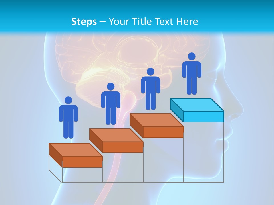 A Human Head With A Brain In The Middle Of It PowerPoint Template