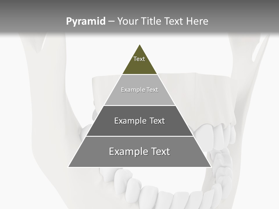 A Teeth Model With A Smile On It's Face PowerPoint Template