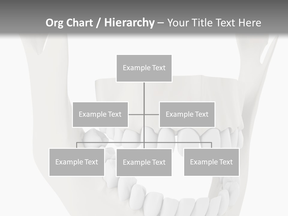 A Teeth Model With A Smile On It's Face PowerPoint Template
