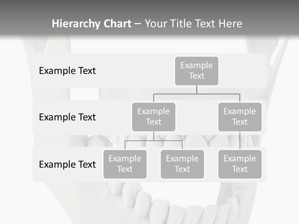 A Teeth Model With A Smile On It's Face PowerPoint Template