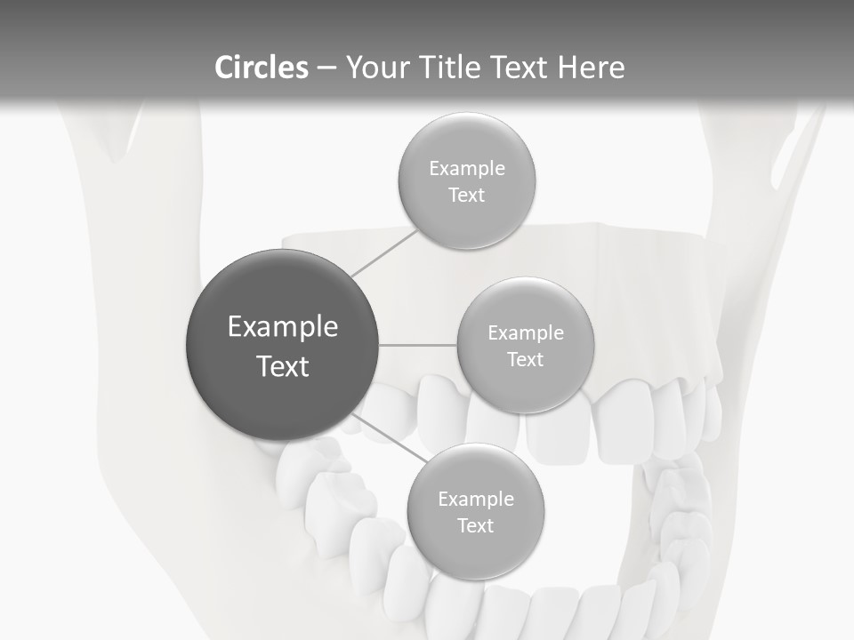 A Teeth Model With A Smile On It's Face PowerPoint Template
