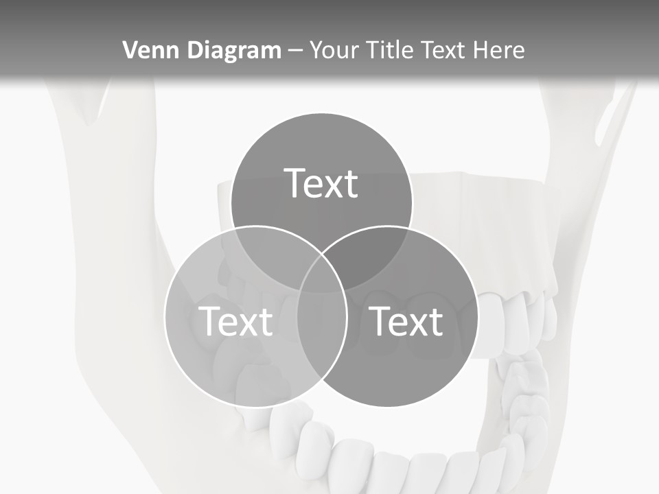 A Teeth Model With A Smile On It's Face PowerPoint Template