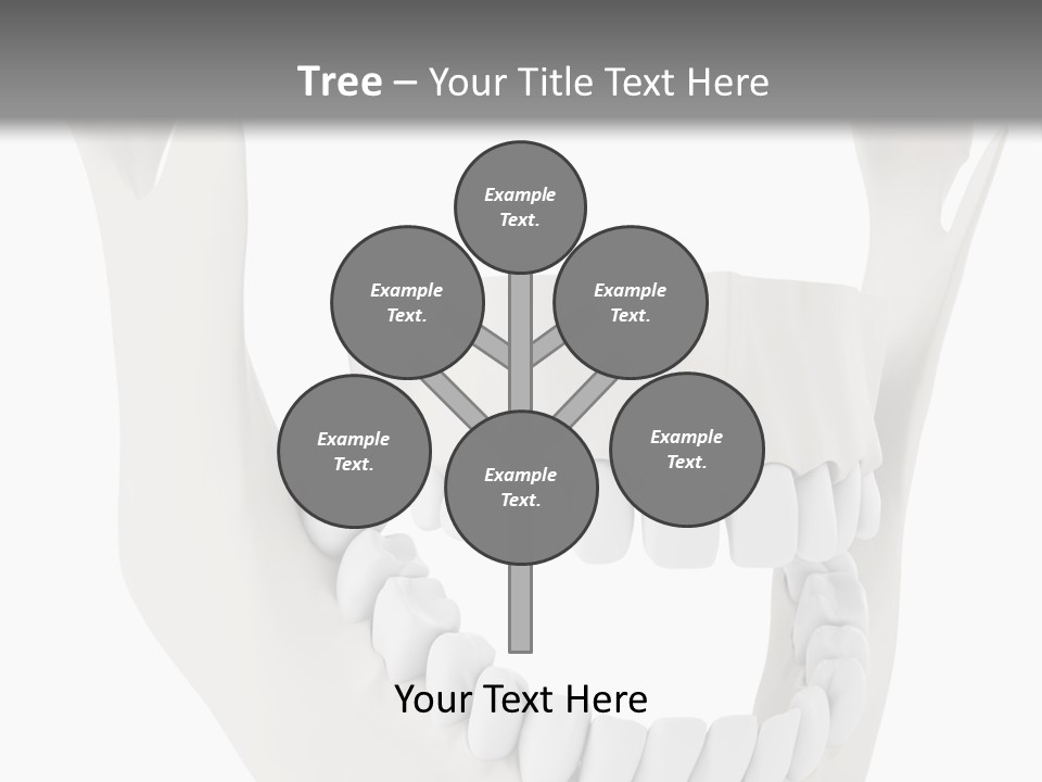 A Teeth Model With A Smile On It's Face PowerPoint Template