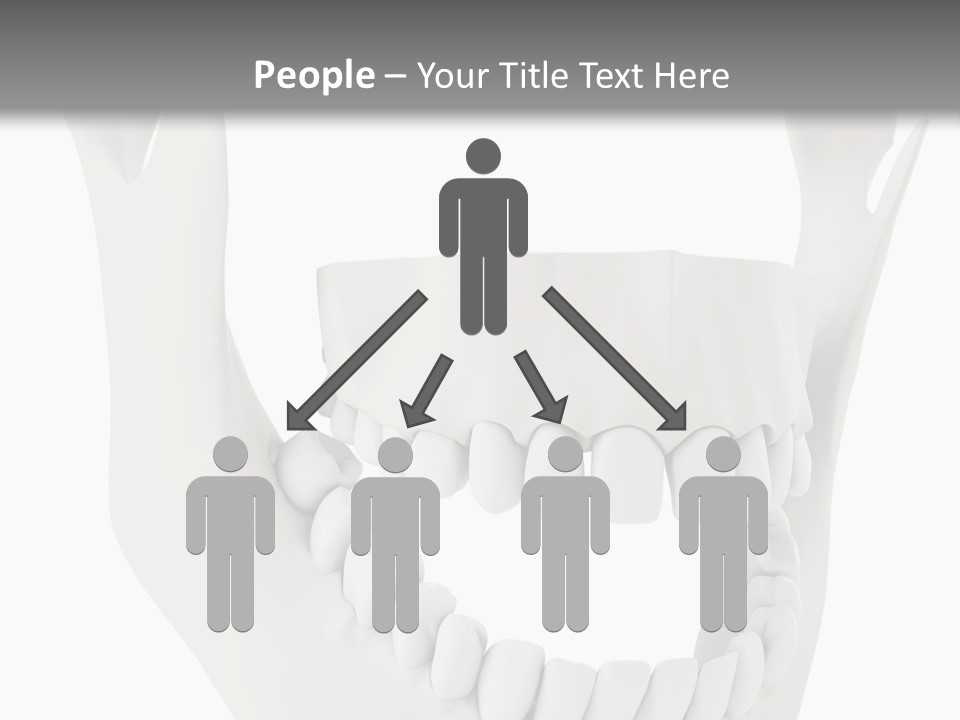 A Teeth Model With A Smile On It's Face PowerPoint Template