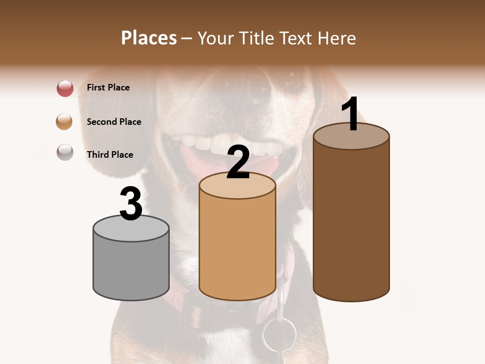 A Brown And White Dog With A Name Tag On It's Collar PowerPoint Template