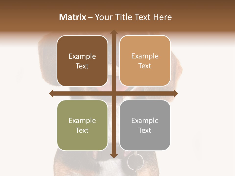A Brown And White Dog With A Name Tag On It's Collar PowerPoint Template