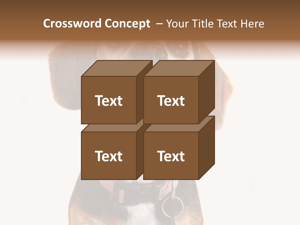 A Brown And White Dog With A Name Tag On It's Collar PowerPoint Template