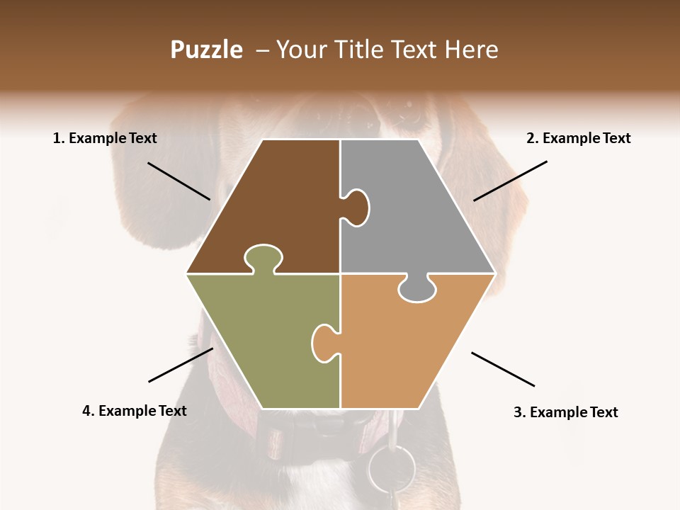 A Brown And White Dog With A Name Tag On It's Collar PowerPoint Template