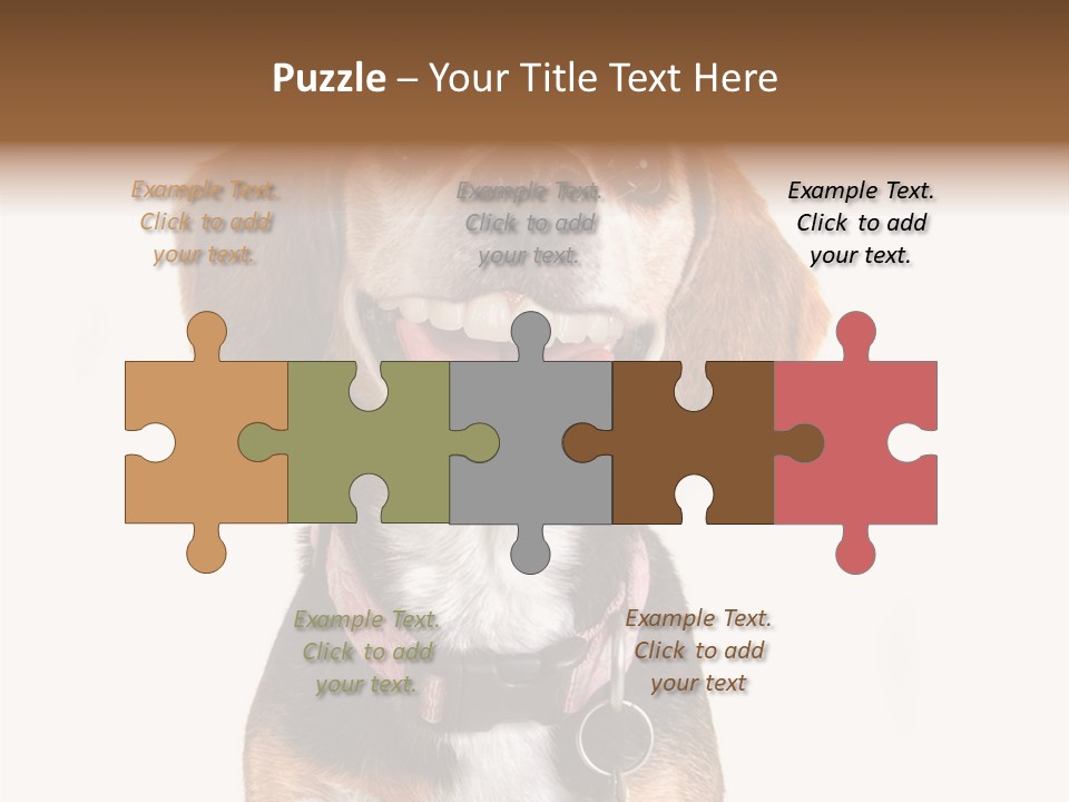A Brown And White Dog With A Name Tag On It's Collar PowerPoint Template