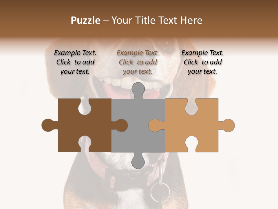 A Brown And White Dog With A Name Tag On It's Collar PowerPoint Template