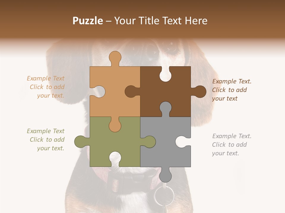 A Brown And White Dog With A Name Tag On It's Collar PowerPoint Template
