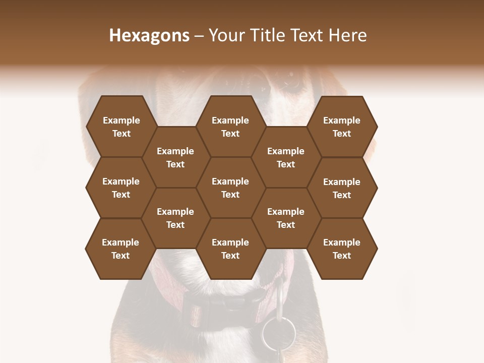 A Brown And White Dog With A Name Tag On It's Collar PowerPoint Template