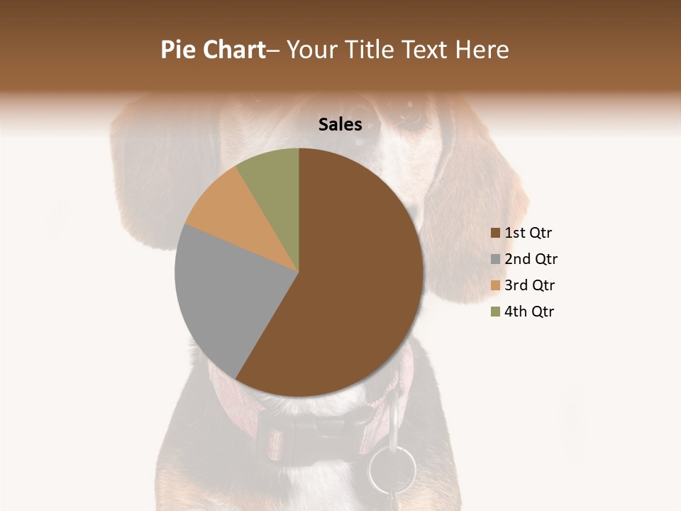 A Brown And White Dog With A Name Tag On It's Collar PowerPoint Template