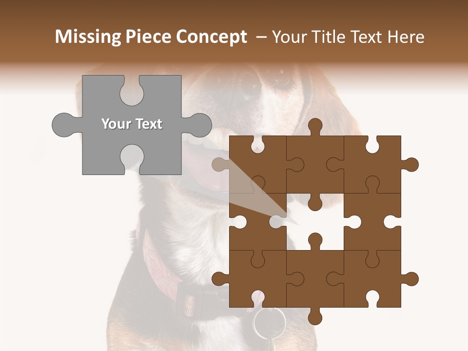 A Brown And White Dog With A Name Tag On It's Collar PowerPoint Template