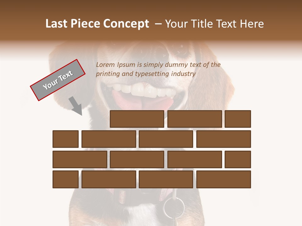 A Brown And White Dog With A Name Tag On It's Collar PowerPoint Template