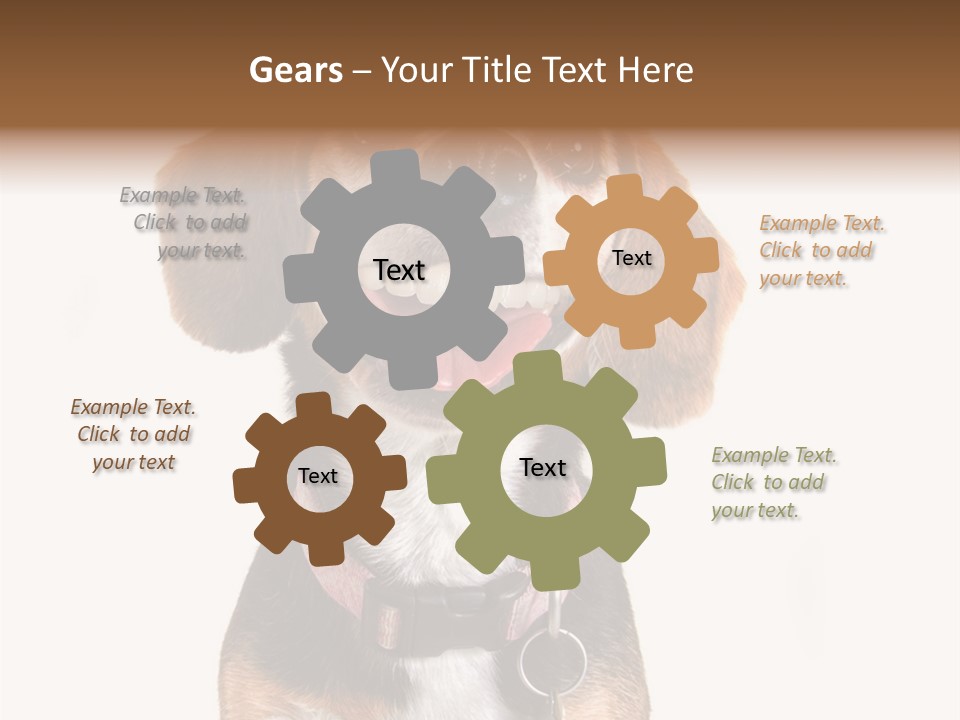 A Brown And White Dog With A Name Tag On It's Collar PowerPoint Template