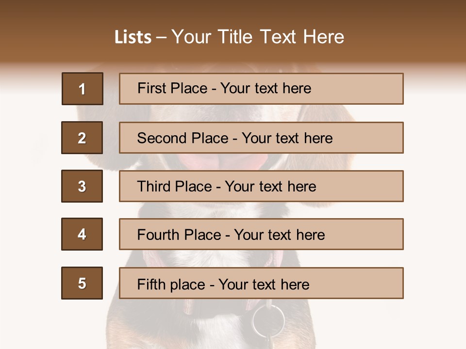 A Brown And White Dog With A Name Tag On It's Collar PowerPoint Template