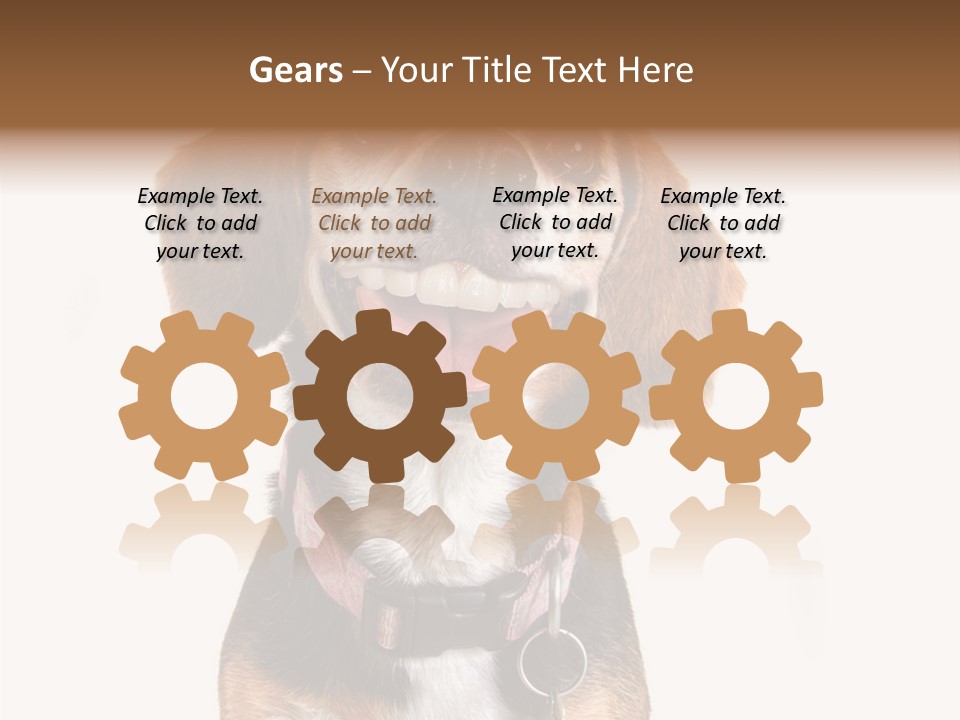 A Brown And White Dog With A Name Tag On It's Collar PowerPoint Template