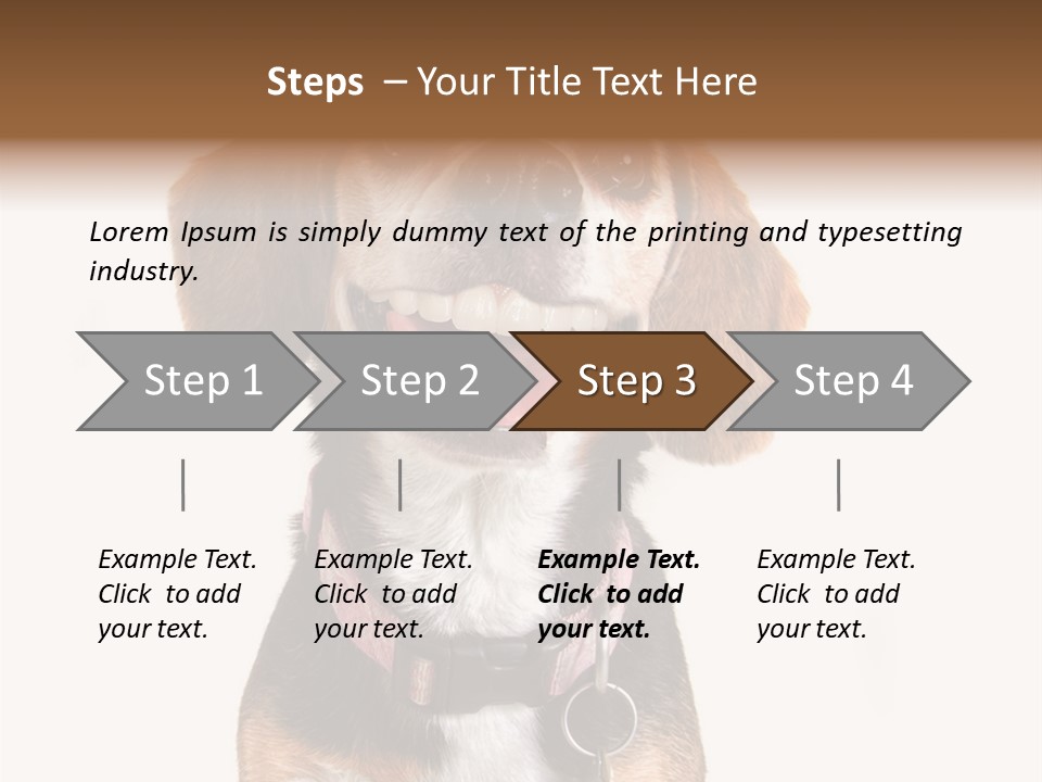 A Brown And White Dog With A Name Tag On It's Collar PowerPoint Template