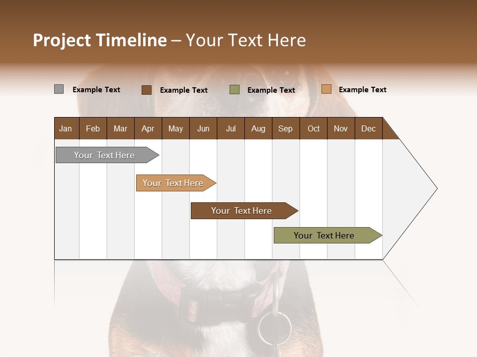 A Brown And White Dog With A Name Tag On It's Collar PowerPoint Template