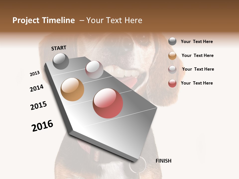 A Brown And White Dog With A Name Tag On It's Collar PowerPoint Template