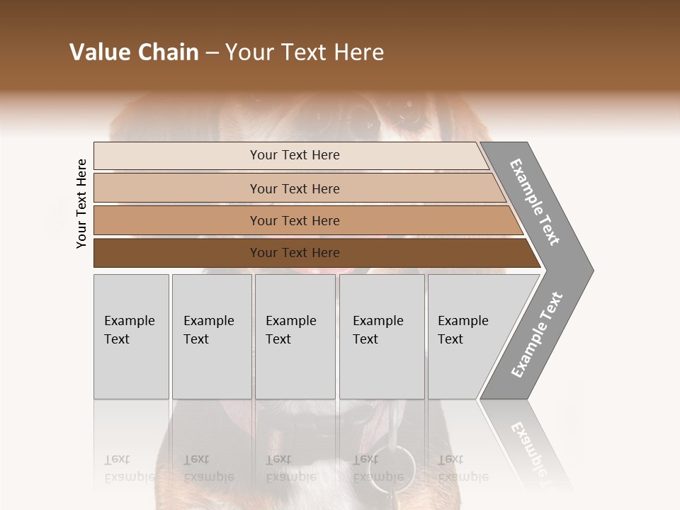 A Brown And White Dog With A Name Tag On It's Collar PowerPoint Template