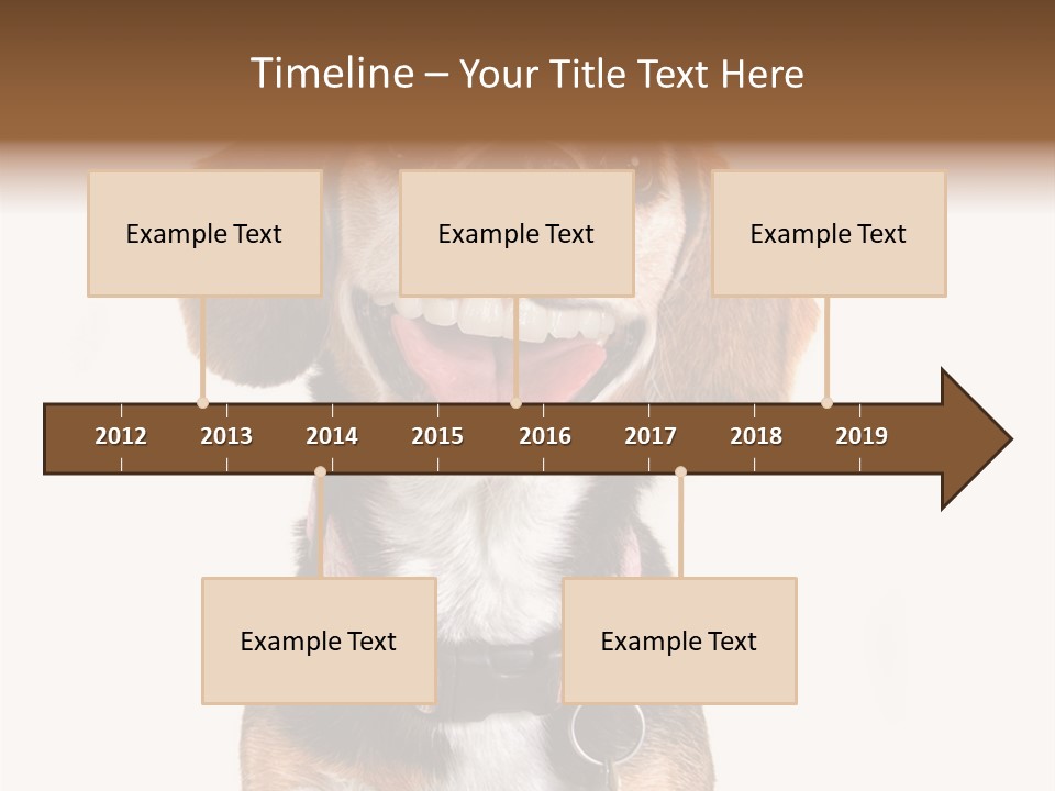 A Brown And White Dog With A Name Tag On It's Collar PowerPoint Template