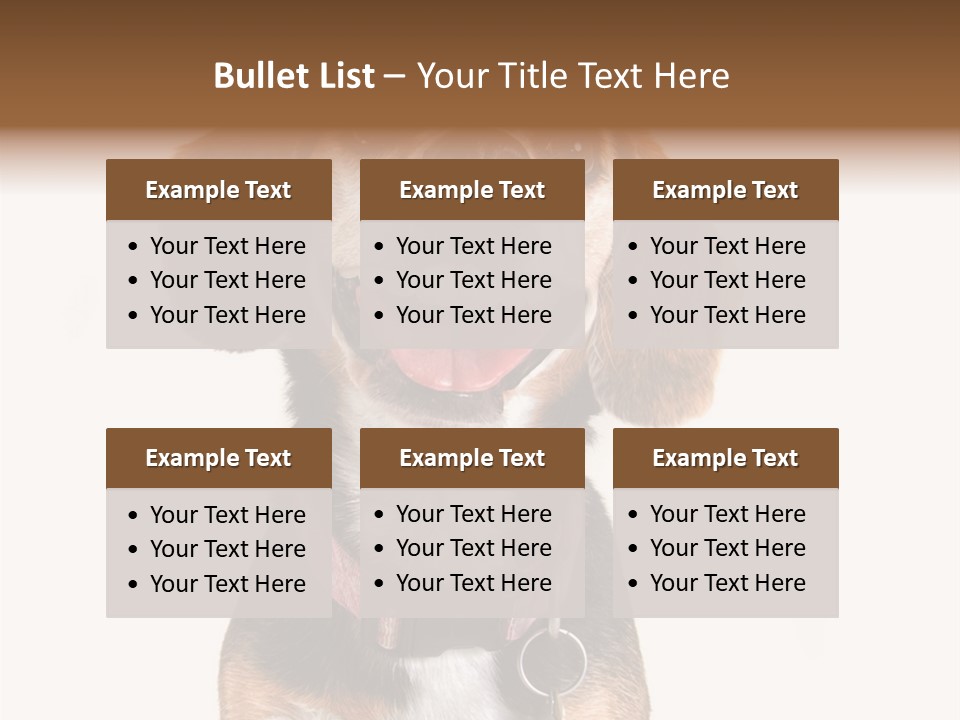 A Brown And White Dog With A Name Tag On It's Collar PowerPoint Template