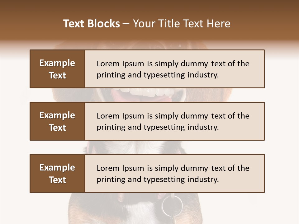 A Brown And White Dog With A Name Tag On It's Collar PowerPoint Template
