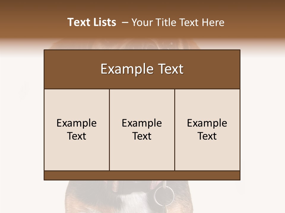 A Brown And White Dog With A Name Tag On It's Collar PowerPoint Template