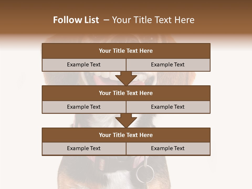 A Brown And White Dog With A Name Tag On It's Collar PowerPoint Template
