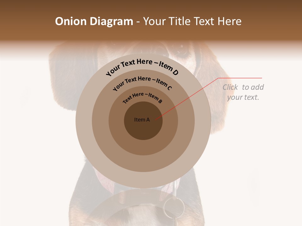 A Brown And White Dog With A Name Tag On It's Collar PowerPoint Template