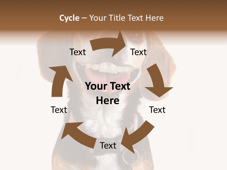 A Brown And White Dog With A Name Tag On It's Collar PowerPoint Template