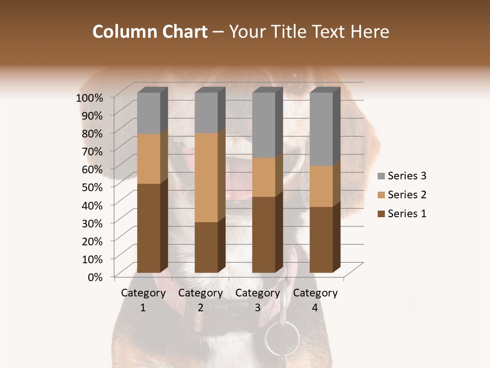 A Brown And White Dog With A Name Tag On It's Collar PowerPoint Template