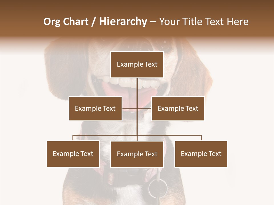 A Brown And White Dog With A Name Tag On It's Collar PowerPoint Template