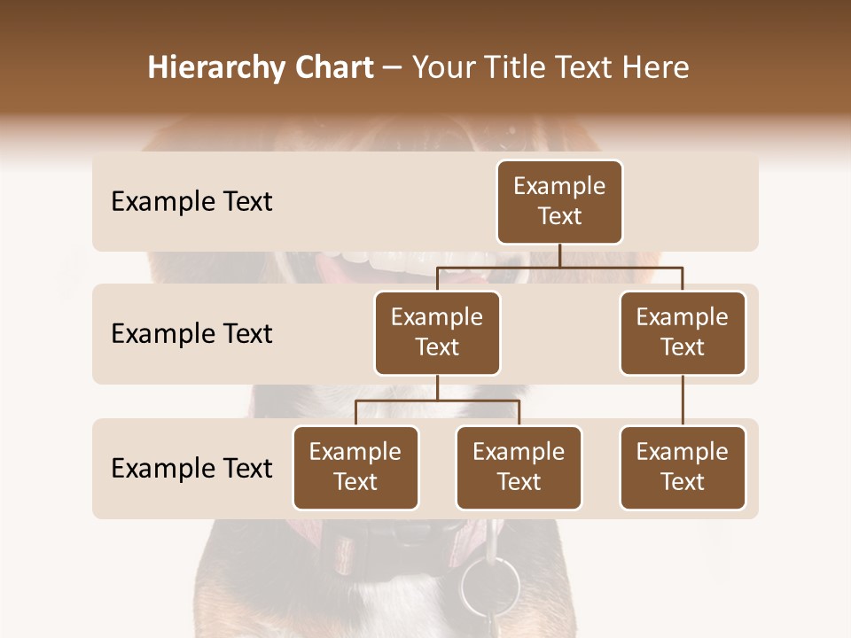 A Brown And White Dog With A Name Tag On It's Collar PowerPoint Template