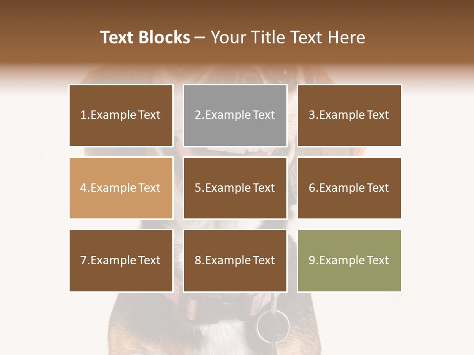 A Brown And White Dog With A Name Tag On It's Collar PowerPoint Template
