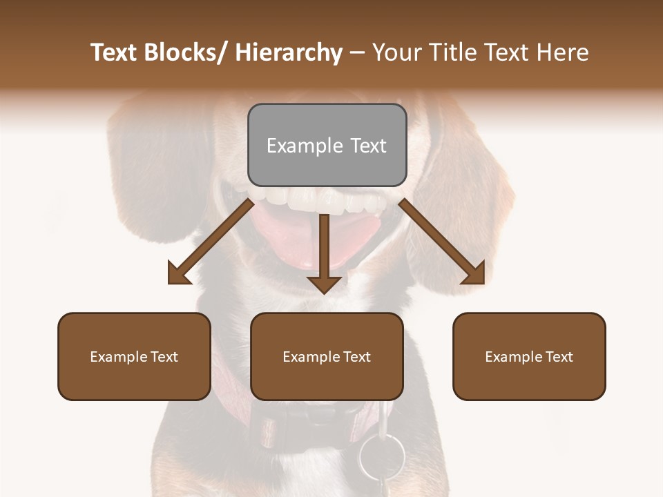 A Brown And White Dog With A Name Tag On It's Collar PowerPoint Template