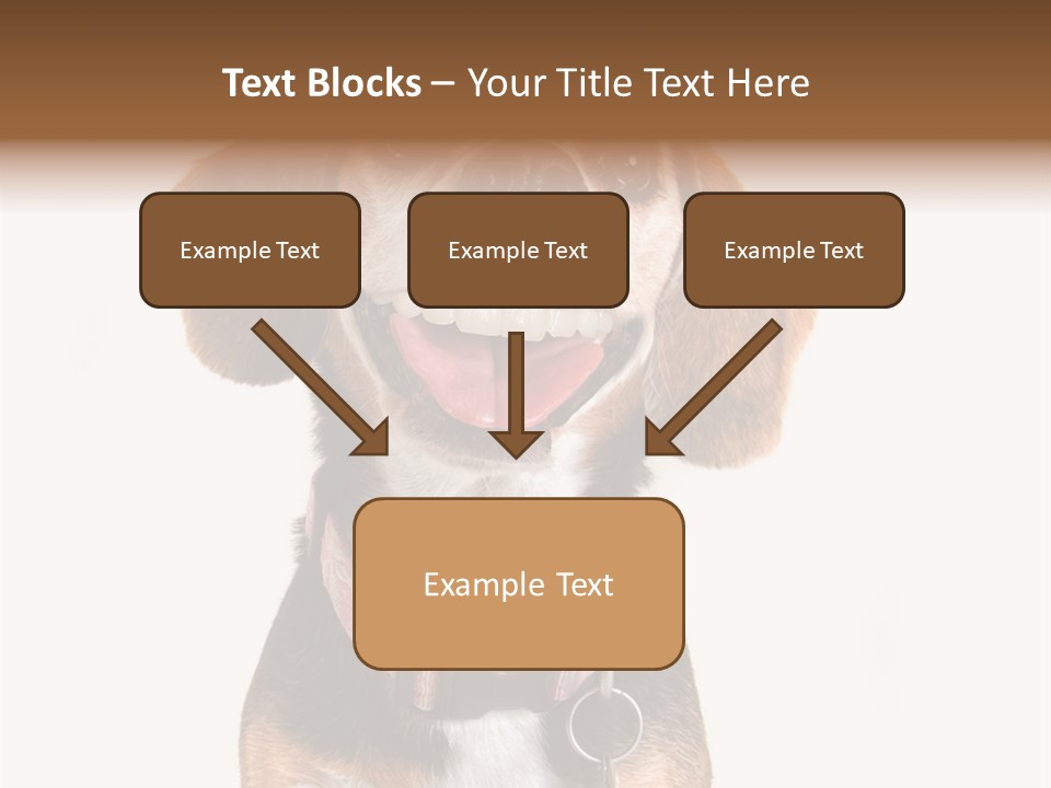 A Brown And White Dog With A Name Tag On It's Collar PowerPoint Template
